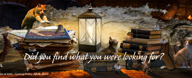 HeartBeat one header cats and books