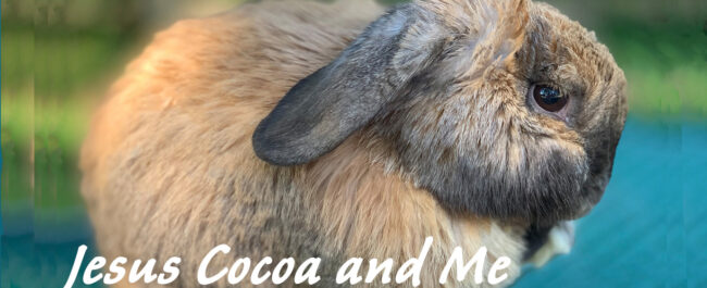 Jesus Cocoa and Me front 2