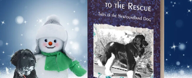 Newfies to the Rescue media kit